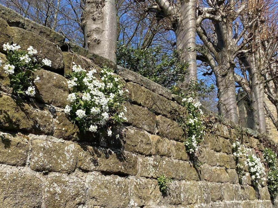 Garden Cottage - Ashover Village Near Matlock チェスターフィールド エクステリア 写真